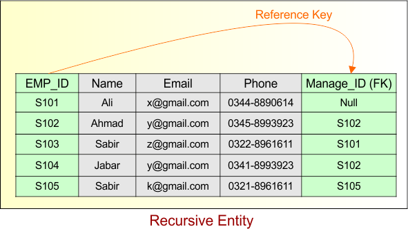 Entity in ER Model - Recursive Entity