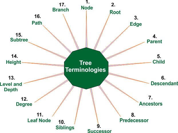 Names of various tree Terminologies in Data Structure.