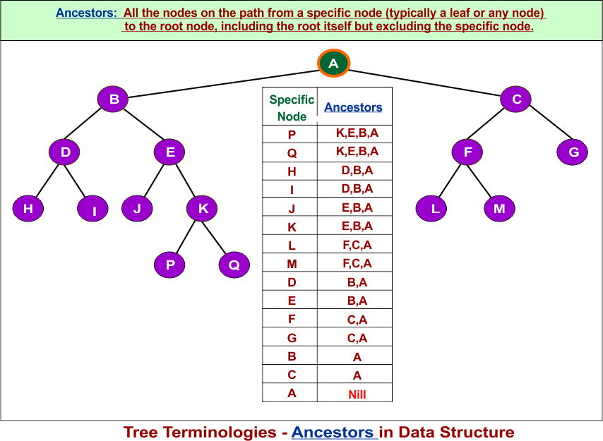 Tree Terminologies - Ancestors in Data Structure