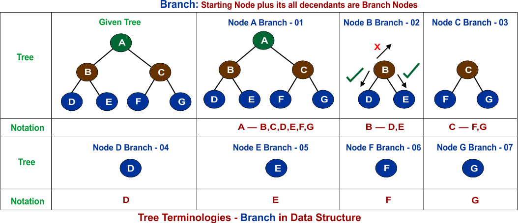 Tree Terminologies - Branch in Data Structure