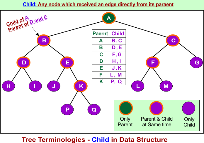 Tree Terminologies - Child in Data Structure