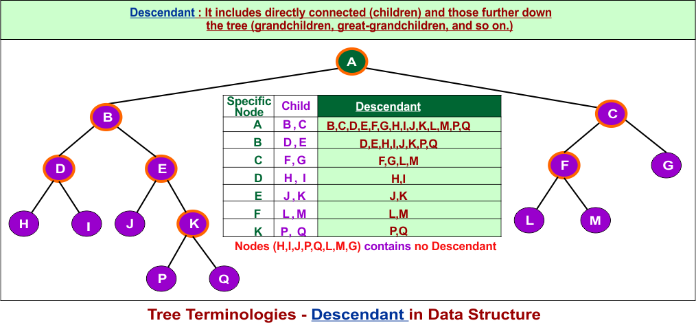 Tree Terminologies - Descendant in Data Structure.