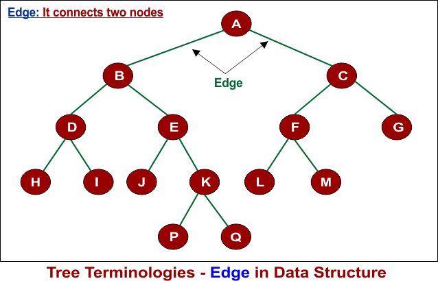 Tree Terminologies - Edge in Data Structure