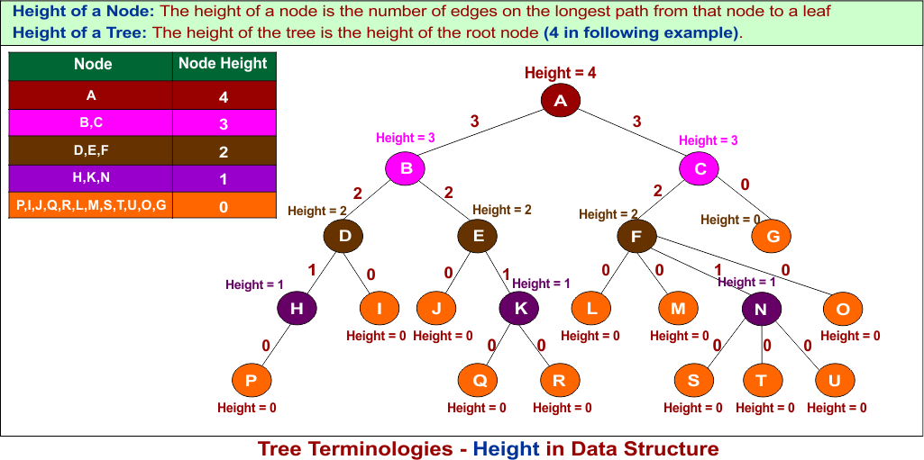 Tree Terminologies - Height in Data Structure