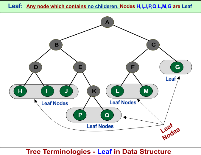 Tree Terminologies - Leaf in Data Structure