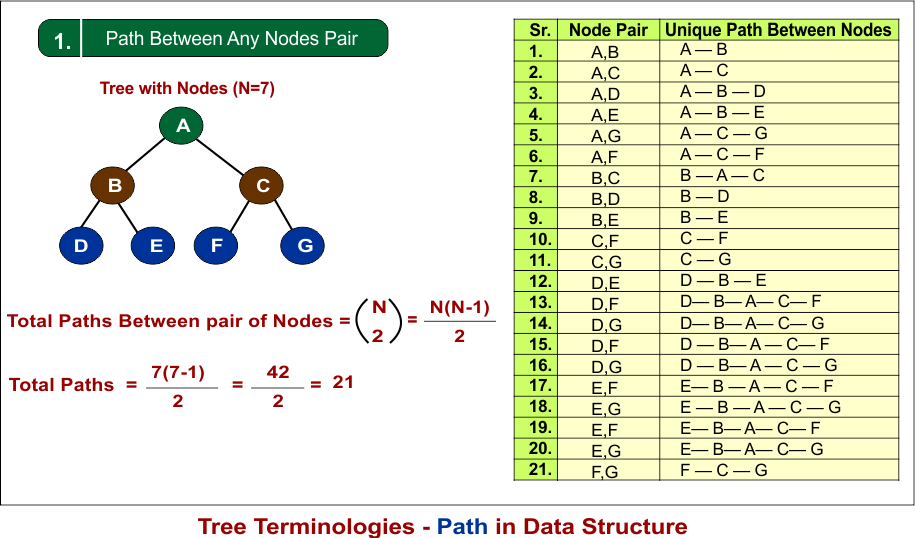 Tree Terminologies - Path in Data Structure (part 1)