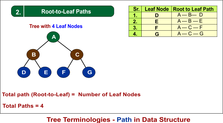 Tree Terminologies - Path in Data Structure (part 2)