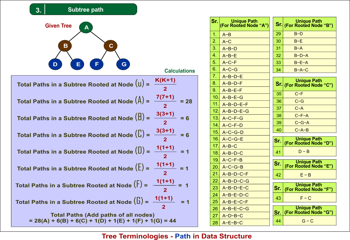 Tree Terminologies - Path in Data Structure (part 3)