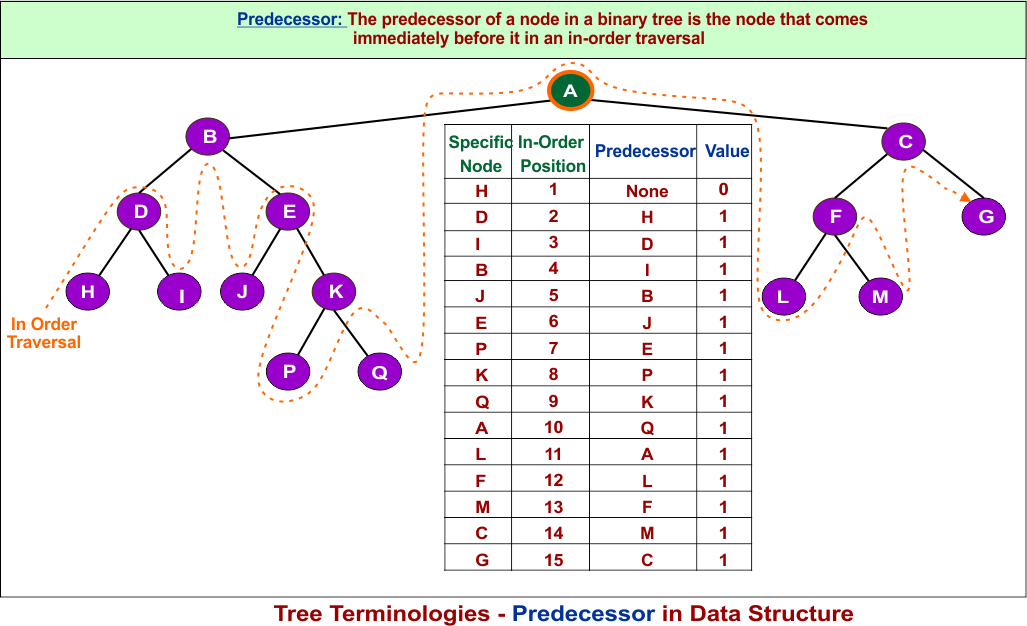 Tree Terminologies - Predecessor in Data Structure