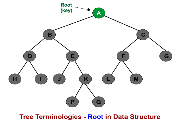 Tree Terminologies - Root in Data Structure