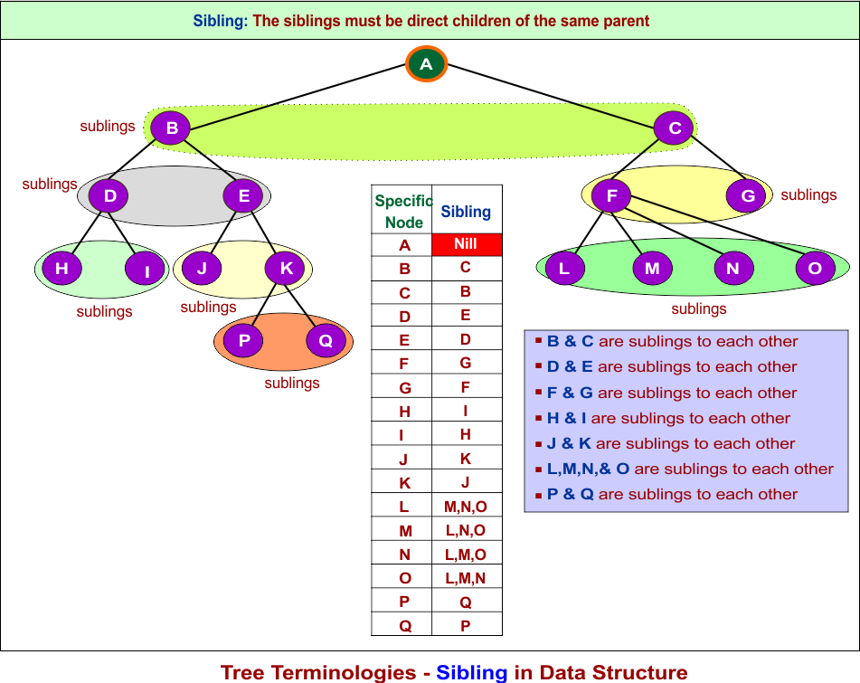Tree Terminologies - Siblings in Data Structure