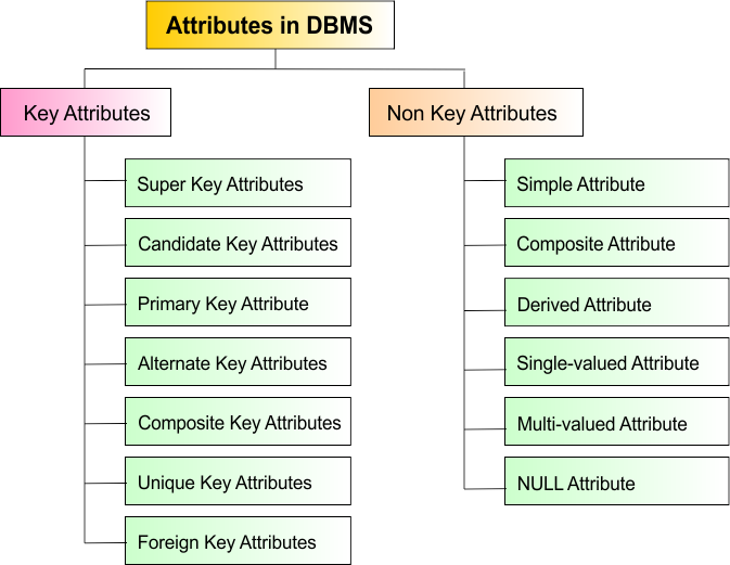 Attributes in DBMS and its types