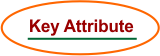 ER Model Notations in DBMS - Key Attribute