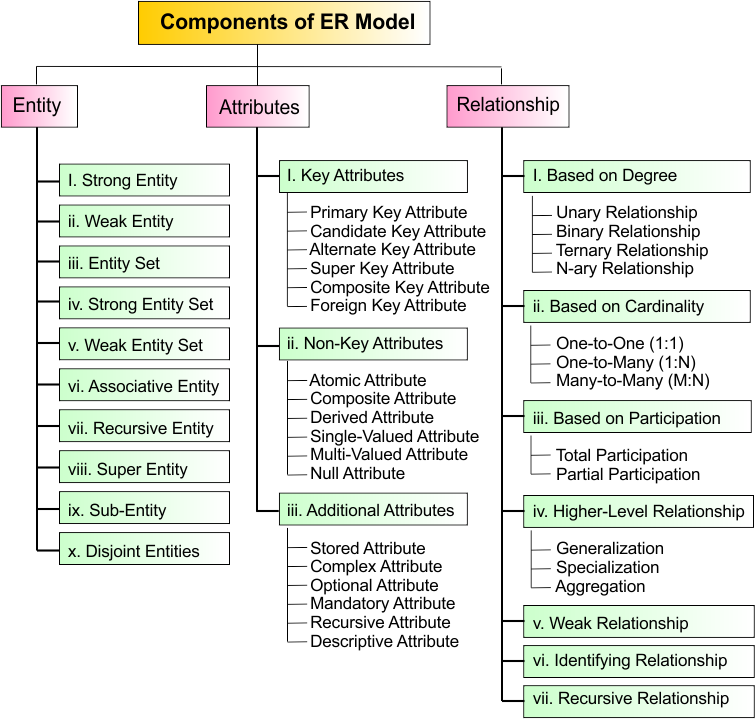 ER Model in DBMS and its components will all types