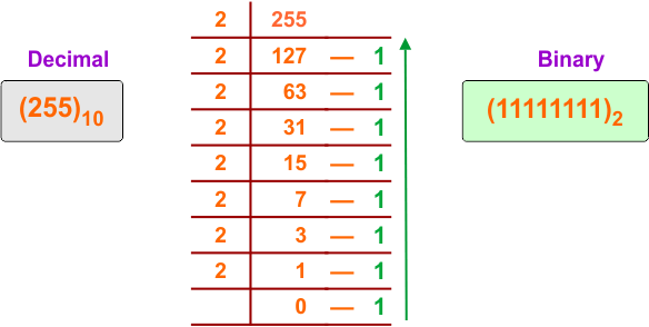 Decimal to Binary Conversion Examples - 9